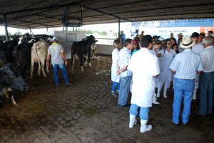 Estudantes- de- Medicina- Veterinária- do- Cesmac- Participam- de -Visita -Técnica- 61