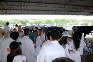 Estudantes- de- Medicina- Veterinária- do- Cesmac- Participam- de -Visita -Técnica- 61