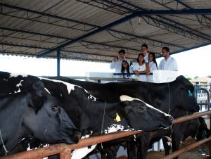 Estudantes- de- Medicina- Veterinária- do- Cesmac- Participam- de -Visita -Técnica- 61