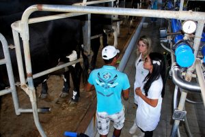 Estudantes- de- Medicina- Veterinária- do- Cesmac- Participam- de -Visita -Técnica- 61