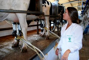 Estudantes- de- Medicina- Veterinária- do- Cesmac- Participam- de -Visita -Técnica- 61