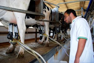 Estudantes- de- Medicina- Veterinária- do- Cesmac- Participam- de -Visita -Técnica- 61
