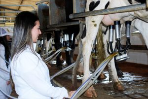 Estudantes- de- Medicina- Veterinária- do- Cesmac- Participam- de -Visita -Técnica- 61