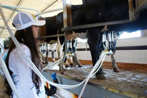 Estudantes- de- Medicina- Veterinária- do- Cesmac- Participam- de -Visita -Técnica- 61