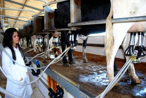 Estudantes- de- Medicina- Veterinária- do- Cesmac- Participam- de -Visita -Técnica- 61