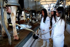 Estudantes- de- Medicina- Veterinária- do- Cesmac- Participam- de -Visita -Técnica- 61