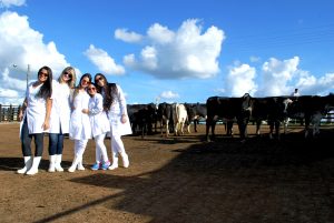 Estudantes- de- Medicina- Veterinária- do- Cesmac- Participam- de -Visita -Técnica- 61