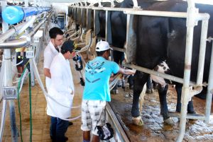 Estudantes- de- Medicina- Veterinária- do- Cesmac- Participam- de -Visita -Técnica- 61