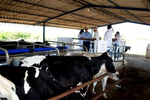 Estudantes- de- Medicina- Veterinária- do- Cesmac- Participam- de -Visita -Técnica- 61
