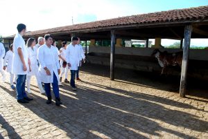Estudantes- de- Medicina- Veterinária- do- Cesmac- Participam- de -Visita -Técnica- 61