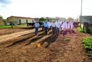 Estudantes- de- Medicina- Veterinária- do- Cesmac- Participam- de -Visita -Técnica- 61