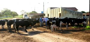 Estudantes- de- Medicina- Veterinária- do- Cesmac- Participam- de -Visita -Técnica- 61