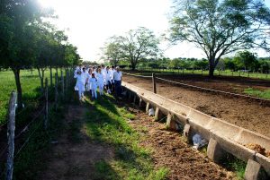 Estudantes- de- Medicina- Veterinária- do- Cesmac- Participam- de -Visita -Técnica- 61