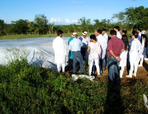 Estudantes- de- Medicina- Veterinária- do- Cesmac- Participam- de -Visita -Técnica- 61