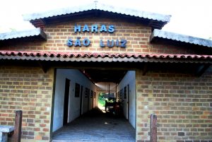 Estudantes- de- Medicina- Veterinária- do- Cesmac- Participam- de -Visita -Técnica- 61