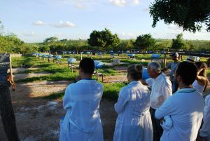 Estudantes- de- Medicina- Veterinária- do- Cesmac- Participam- de -Visita -Técnica- 61