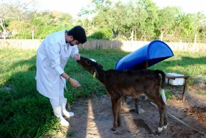 Estudantes- de- Medicina- Veterinária- do- Cesmac- Participam- de -Visita -Técnica- 61
