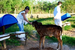 Estudantes- de- Medicina- Veterinária- do- Cesmac- Participam- de -Visita -Técnica- 61
