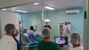 clinica-escola-de-medicina-veterinaria-do-cesmac-realiza-cirurgia-oftalmica-2
