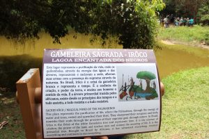 Cesmac- na- Serra- da -Barriga- União-dos-Palmares- extensão- Nafri (57)