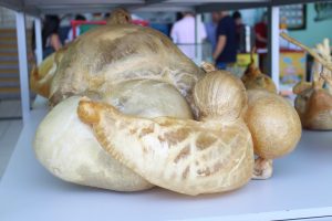 Seminário- Prático- de- Anatomia- Veterinária - SEMPRAVET-Cesmac (75)