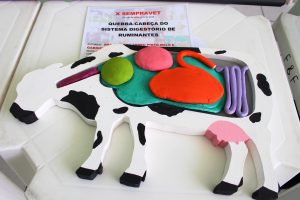 Seminário- Prático- de- Anatomia- Veterinária - SEMPRAVET-Cesmac (75)