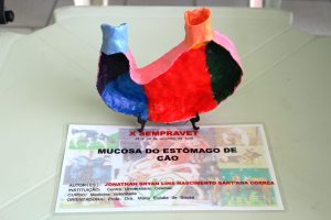 Seminário- Prático- de- Anatomia- Veterinária - SEMPRAVET-Cesmac (75)