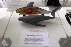 Seminário- Prático- de- Anatomia- Veterinária - SEMPRAVET-Cesmac (75)