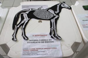 Seminário- Prático- de- Anatomia- Veterinária - SEMPRAVET-Cesmac (75)