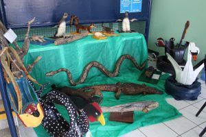 Seminário- Prático- de- Anatomia- Veterinária - SEMPRAVET-Cesmac (75)