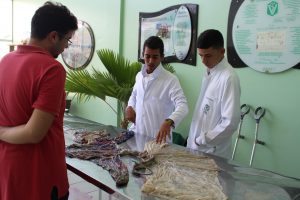 Seminário- Prático- de- Anatomia- Veterinária - SEMPRAVET-Cesmac (75)