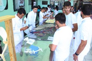 Seminário- Prático- de- Anatomia- Veterinária - SEMPRAVET-Cesmac (75)