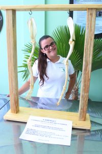 Seminário- Prático- de- Anatomia- Veterinária - SEMPRAVET-Cesmac (75)