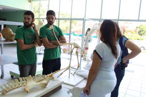Seminário- Prático- de- Anatomia- Veterinária - SEMPRAVET-Cesmac (75)