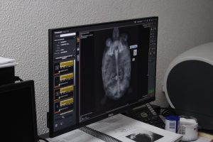 marechal deodoro_ (7)