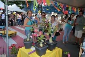 Tarde- de -sexta- na- Feira- Cultural- CESMAC- na- Rua- com- Música- Artesanato- e -muito -mais -(88)