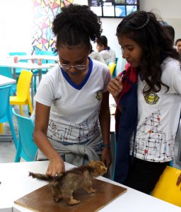 Desenvolvimento- Sustentável- e- Segurança- Alimentar- foram- destaques- do- segundo -dia- da- SNCT- 2019-Cesmac (44)