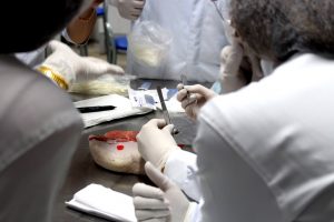 Curso- de- formação- e- capacitação- sobre- câncer- de- boca- para- Dentistas- da- rede- pública- de- Saúde- do- Estado- de- Alagoas-CESMAC_MPPS (40)