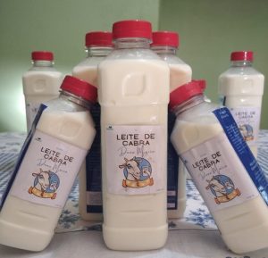 Medicina- Veterinária -CESMAC -mantém- ações- remotos- com- Projeto- de- Extensão -LAPFOR-(01)