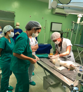 Clínica- Escola- de- Medicina- Veterinária- do -CESMAC- retoma- atendimentos- ao- público-(01)