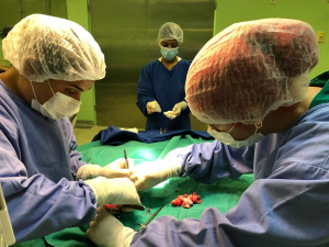 Clínica- Escola- de- Medicina- Veterinária- do -CESMAC- retoma- atendimentos- ao- público-(01)