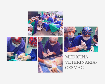 Pesquisa no curso de Medicina Veterin\u00e1ria do Cesmac estuda uso da ...