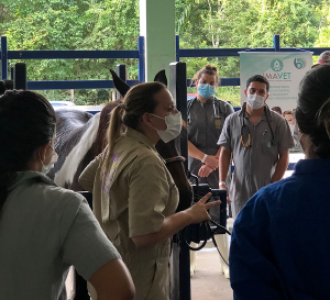 Primeira- empresa- Junior- de- Medicina- Veterinária- do- estado- de- Alagoas- é -do- Cesmac- (01)12