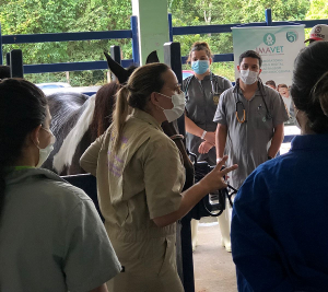 Primeira- empresa- Junior- de- Medicina- Veterinária- do- estado- de- Alagoas- é -do- Cesmac- (01)12