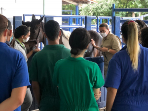 Primeira- empresa- Junior- de- Medicina- Veterinária- do- estado- de- Alagoas- é -do- Cesmac- (01)12