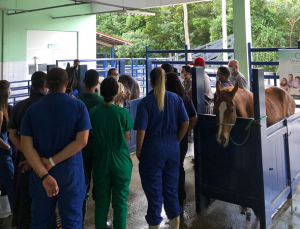 Primeira- empresa- Junior- de- Medicina- Veterinária- do- estado- de- Alagoas- é -do- Cesmac- (01)12