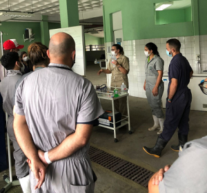 Primeira- empresa- Junior- de- Medicina- Veterinária- do- estado- de- Alagoas- é -do- Cesmac- (01)12