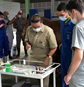 Primeira- empresa- Junior- de- Medicina- Veterinária- do- estado- de- Alagoas- é -do- Cesmac- (01)12