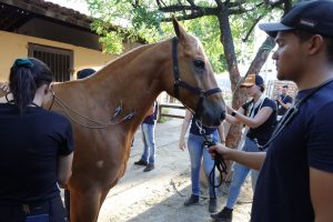 WhatsApp Image 2023-10-26 at 17.49.21 (8)