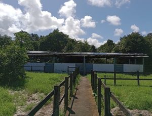 WhatsApp Image 2024-11-06 at 20.43.32